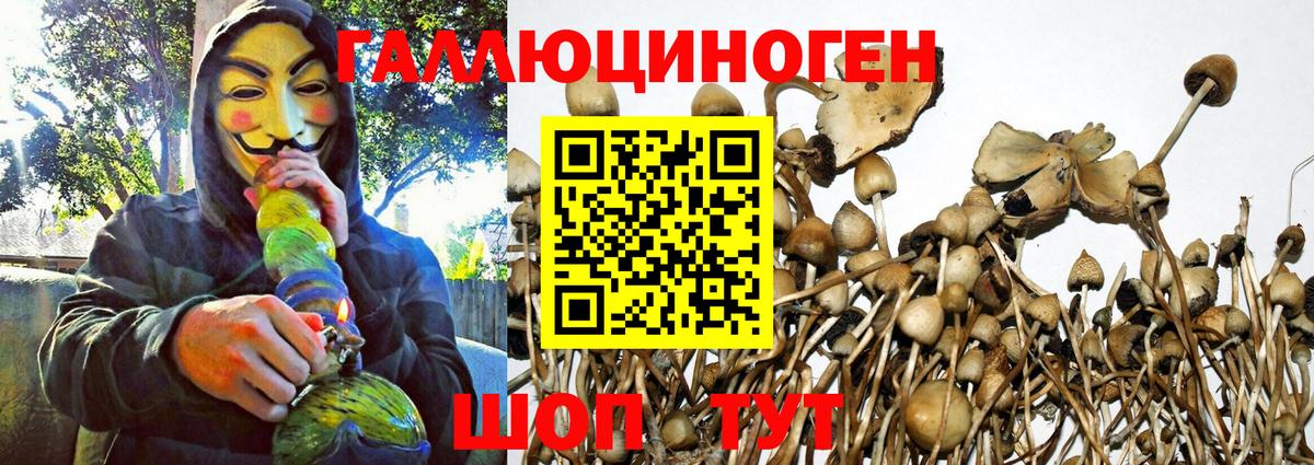 Галлюциногенные грибы ЛСД Сердобск