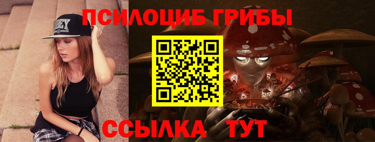 Галлюциногенные грибы ЛСД  Вход с VPN  Сердобск  Галлюциногенные грибы Psilocybine cubensis 